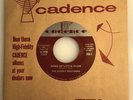 The Everly Brothers / Wake Up Little Susie & Bye Bye Love / 2002 Grey 45 / Mint