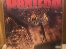 PANTERA trendkill LP 1.Press 1996 Slayer Metallica Exhorder Death Whiplash Sodom