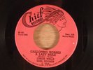 Junior Wells Earl Hooker  Galloping Horses A Lazy Mule/Blues In D Natural