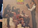 True Democracy by Steel Pulse (Record, 2023) Brand New Bob Marley Half Pint