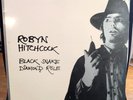ROBYN HITCHCOCK - Black Snake Diamond Role LP Orig Relativity SOFT BOYS