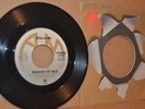 SHADES OF BLU: BELLA MI & WAITING FOR THE LAST GOODBYE; RARE A&M MINT- SOUL 45