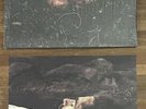 AUTOGRAPHED Hozier Unreal Unearth Vinyl LP Album Signed NEW