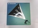 DJ Shadow - The Mountain Will Fall 2x12