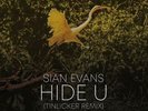 SIAN EVANS / TINLICKER & HELSLOOT: hide u (tinlicker remix) /… LP