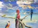 ALEX G - GOD SAVE THE ANIMALS Vinyl LP