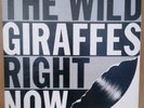 The Wild Giraffes - Right Now LP   Rare Ohio Garage Punk Signed Original