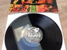 The Cramps - All Tore Up - EX Condition USA Vinyl LP Record - REVREC 0012