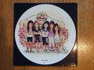 Anthrax State Of Euphoria Picture Disc PILPS 9916 Vinyl Record - Rare
