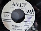 Lloyd Arnold – School Days (AVET B-5000) Rockabilly 45