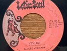 SANGRE MEXICANA: Yes I Do 45 Latin Soul TX Tejano garage rock MP3 hear