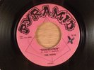 The Huns  Shakedown/You Know  CRAZY RARE  North Carolina Garage 1966 Pyramid