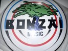 Bonzai Records Picture Die Monster Rarität/Yves Deruyter – Calling Earth/RAVE ON