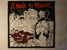 V/A ‎– A Minute To Midnight... LP Celibate Rifles Wet Taxis White Cross PUNK