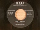 The Illusions  Lonely Soldier/Hey Boy  Doo-Wop  1962 Mali Records Bell Sound