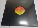Adam And The Ants Kings Of The Wild Frontier Vinyl  12” 33 RPM NO ORIGINAL COVER