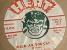 Mary Ann Fisher Put On My Shoes / Wild As You Can Be Jukebox Jukebox Jam