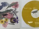 Scarce Piss Yellow Tour Variant Vinyl LP Apes of the State Pipe Dream New Punk