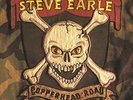 STEVE EARLE - COPPERHEAD ROAD NEW VINYL