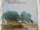 Jerry Garcia David Grisman 