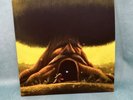 Legend of Zelda Ocarina of Time vol 1 VGM Vinyl OST Deku Tree Not Moonshake