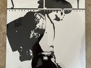 SLY AND THE FAMILY STONE - ANTHOLOGY 180G 2LP GRAY-SPLATTER COLOURED LTD VINYL