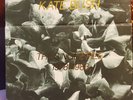 KATE BUSH The Single File 1978 1983 VINYL Box set (13x7