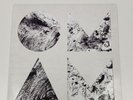 Of Monsters And Men - Beneath The Skin Clear Vinyl 2015