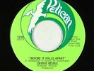 Crossover Soul/Funk 45 - Denise Keeble - Before It Falls Apart - Pelican - VG++