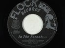 Funk 45 - Original Black Sheep (Of The Family) - In The Forest - Flock Rock