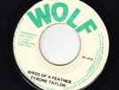 TYRONE TAYLOR - BIRDS OF A FEATHER - WOLF