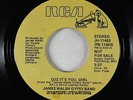 70s Soul 45 - James Walsh Gypsy Band - Cuz It's You Girl - RCA - VG+ promo