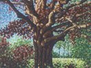 ONE STEP CLOSER - Songs For The Willow - Vinyl (12