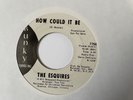 The Esquires: 1968 US Bunky Records Promo 45: 'How Could It Be' Funky Soul _EX+