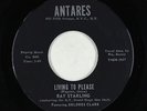 Northern Soul 45 - Delores Clark & Ray Starling - Living To Please - Antares