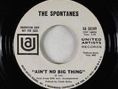 Northern Soul 45 - Spontanes - Ain't No Big Thing/Where Did I Go Wrong - UA