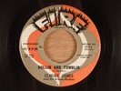 Elmore James & His Broom Dusters  Rollin And Tumblin/I'm Worried  RARE  Blues