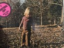 Allman brothers and sisters vinyl Promo