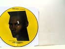 GRACE JONES living my life (picture disc) LP EX-, PILPS 9722, vinyl, album, 1982