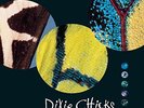 CHICKS - FLY (GATEFOLD) NEW VINYL