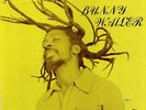 Bunny Wailer - Rock 'N' Groove (LP, Album)