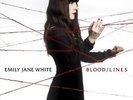 Emily Jane White Blood/Lines (Vinyl) 12