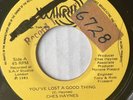 rare Lovers Rock CHES HAYNES You've Lost A Good Thing 45 WIRL Barbados