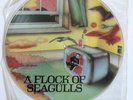 A FLOCK OF SEAGULLS - A FLOCK OF SEAGULLS PICTURE DISC LP 1982 HOP X 201 *RARE*