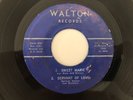 Killer Indiana Rockabilly 45 VAN BROTHERS Servant Of Love WALTON  hear