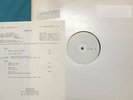 Test Pressing Mick Goodrick 