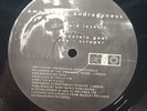 Amorphous Androgynou - Liquid Insects - Used Vinyl Record 12 - V7350A