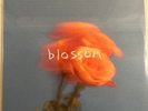 THE SUMMER SET – BLOSSOM - VINYL LP SHIP FREE NEW SEALED - 20