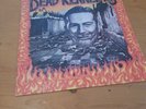 Dead Kennedys give me convenience or give me death UK with flexi and book  rare