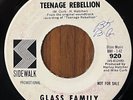 GLASS FAMILY - Teenage Rebellion SIDEWALK PSYCH ROCK PROMO 45 RARE